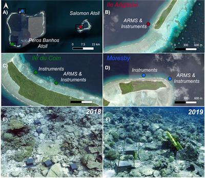 Remote reef cryptobenthic diversity: Integrating autonomous reef monitoring structures and in situ environmental parameters